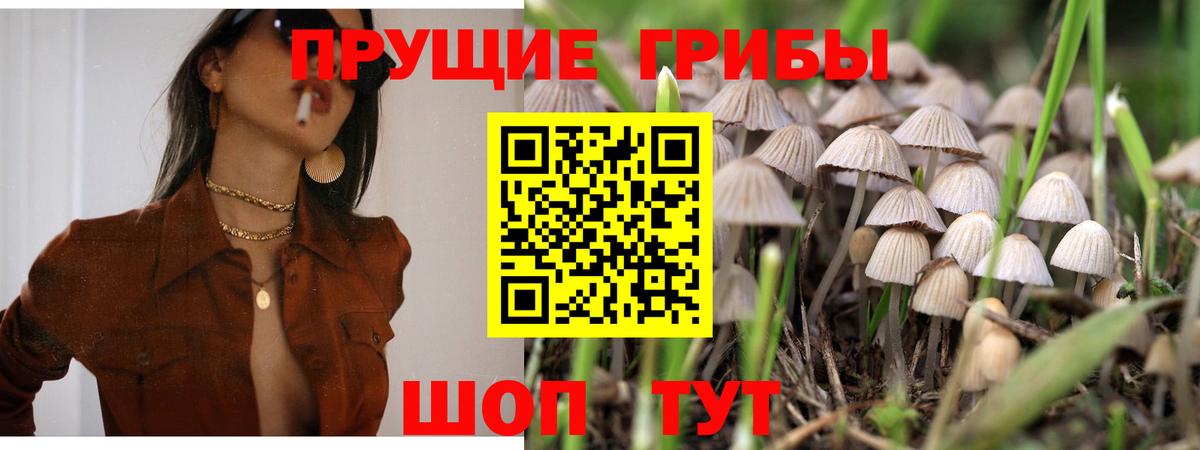 Галлюциногенные грибы Cubensis Белая Калитва